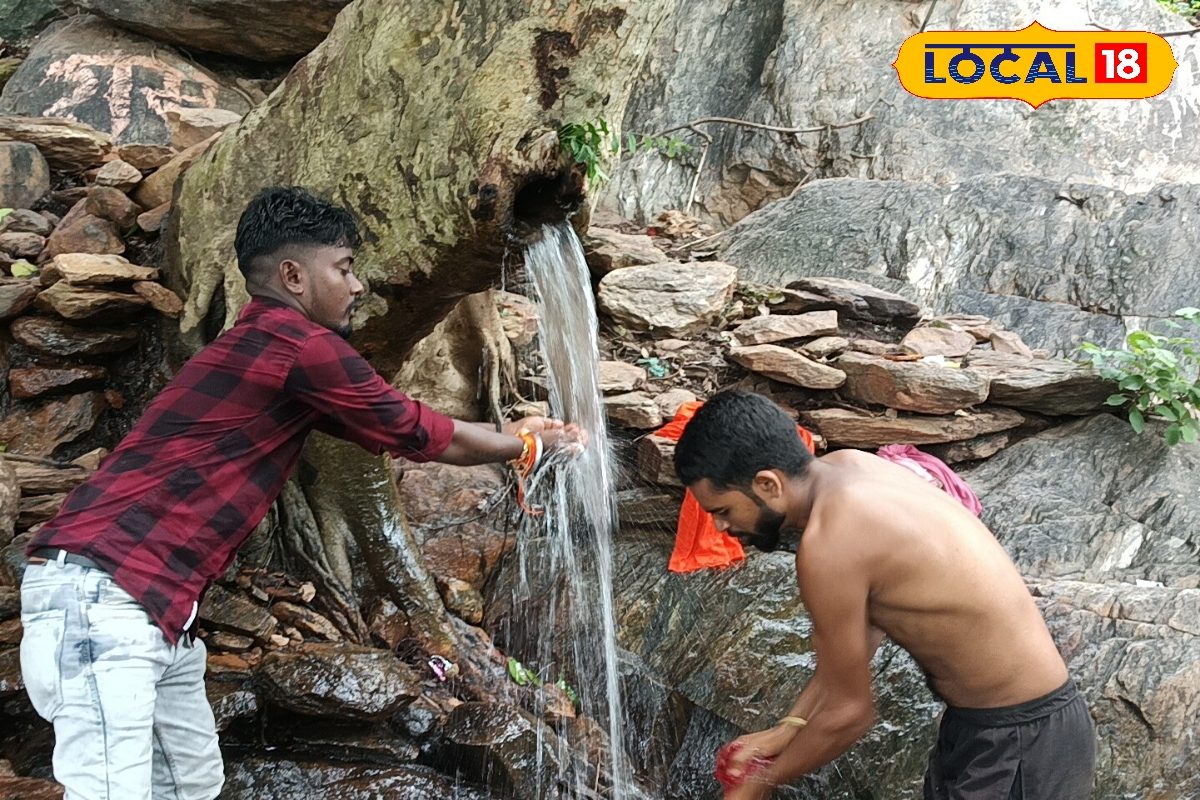 पहाड़ से नहीं पेड़ के तने से गिरता है पानी, सालभर बहता है यह रहस्यमयी झरना...