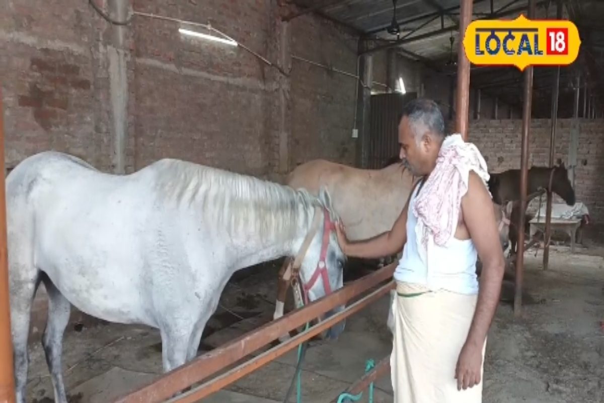 22 फीट तक छलांग लगाता है यह घोड़ा! महाराणा प्रताप भी युद्ध में करते थे इस्तमाल