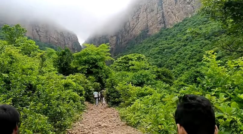रोहतास के जंगल और बाग-बगीचें रोहतास के जंगल और बाग-बगीचें