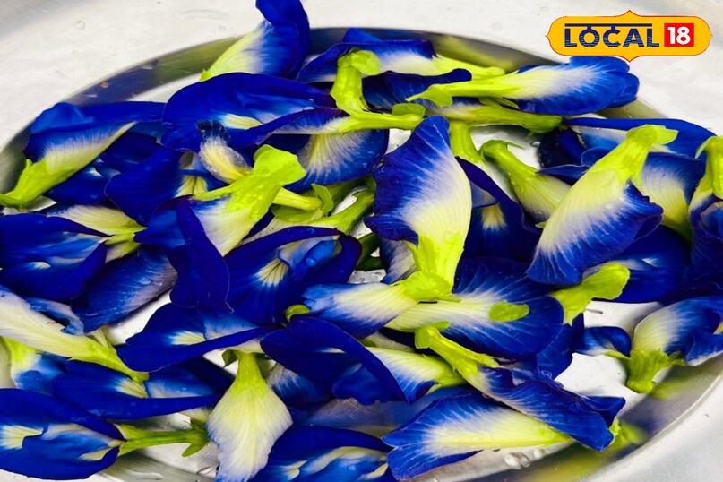 अपराजिता