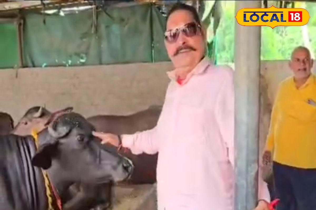 अनंत सिंह ने जब मंत्री अशोक चौधरी को दिखाई अपनी भैंस, देती है इतना दूध
