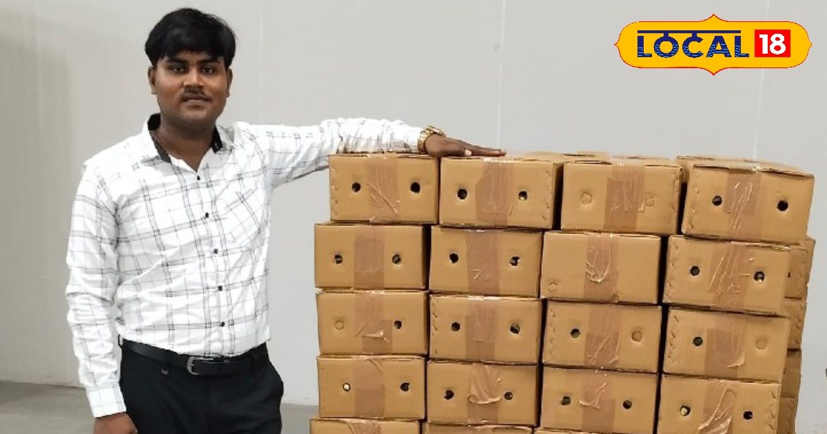 Agriculture News: अब दुबई में खाने का स्वाद बढ़ाएगी कौशाम्बी की भिंडी और करेला, रंग लाई किसानों की मेहनत