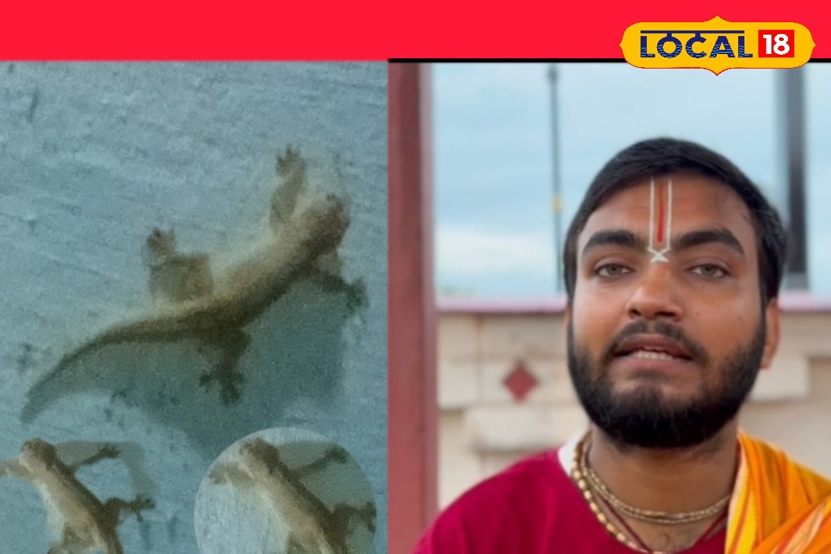 अच्छा या बुरा! शरीर पर छिपकली गिरने से क्या होता है असर? जानें पंडित से