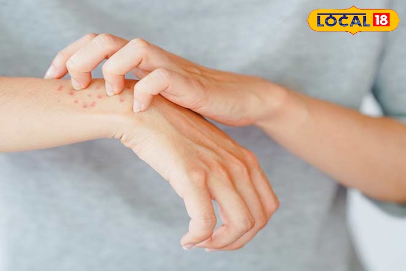 news 18 