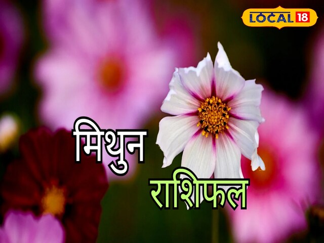 मिथुन: कार्यक्षेत्र में बदलेंगे हालात, प्रेमी के साथ अच्छा रहेगा आज का दिन
