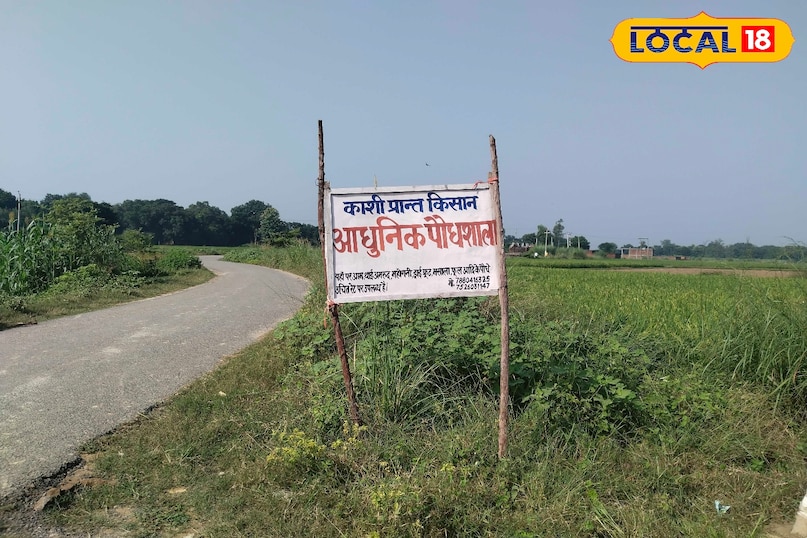 किसान ज़मील किसान ज़मील