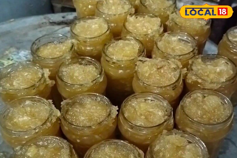 उत्तर प्रदेश, मेरठ, अचार, रेसिपी, स्वाद, खाना, नानी, दादी, टिप्स, फोटो गैलरी, लोकल -18,Uttar Pradesh, Meerut, Pickle, Recipe, Taste, Food, Nani, Grandma, Tips, Photo Gallery, Local -18