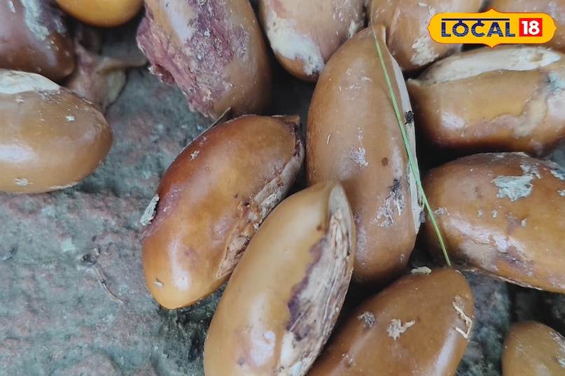 mahua oil 