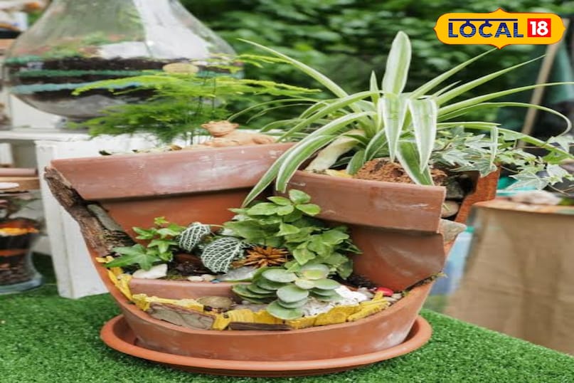 3. If you have broken earthen utensils from broken utensils, you can use them for garden decoration instead of throwing them. Decorate the broken utensils slightly and plant small plants in them and keep them in the garden or balcony.
