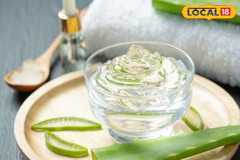 Aloevera Aloevera