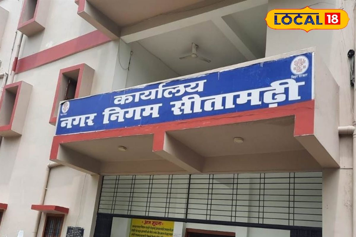 सितंबर तक जमा करें टैक्स, इतनी मिल रही छूट, समय पर कर चुका कर बचाएं पैसा