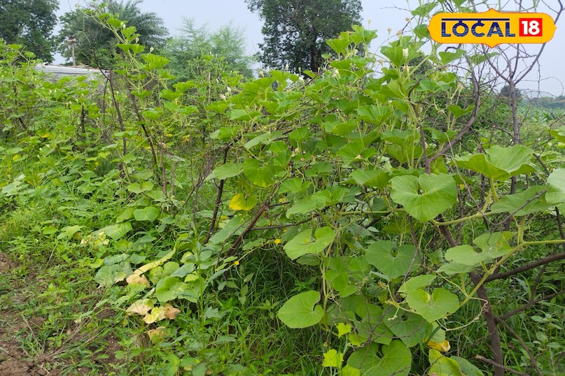 सागर सागर