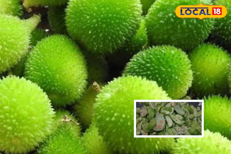 The most powerful vegetable rises in the rain, 50 times more powerful, cheap and Ayurvedic ... The most powerful vegetable rises in the rain, 50 times more powerful, cheap and Ayurvedic ...