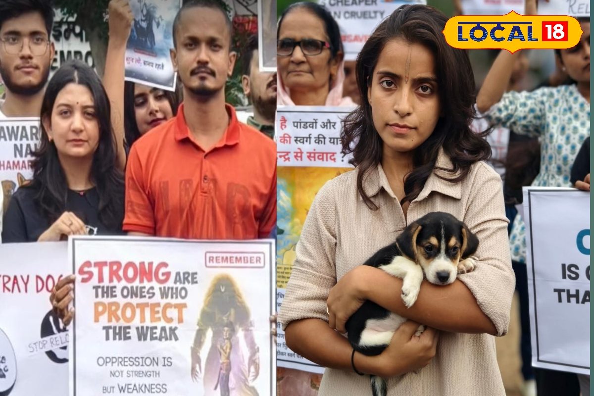 "आवारा नहीं हमारा है..." आखिर पटना की सड़कों पर क्यों गूंजा ये नारा