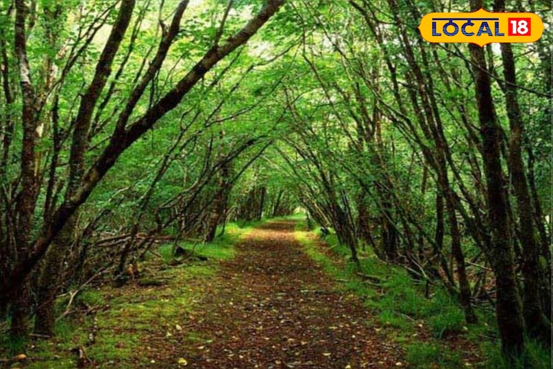 This place located in the eastern ghats of Andhra Pradesh is famous for its lush green forests, waterfalls and tribal culture, located in the Eastern Ghats of Maradumili (430 km). Here, jungle trek, wildlife spotting and ritual camping can be enjoyed by joining local tribals. This place located in the eastern ghats of Andhra Pradesh is famous for its lush green forests, waterfalls and tribal culture, located in the Eastern Ghats of Maradumili (430 km). Here, jungle trek, wildlife spotting and ritual camping can be enjoyed by joining local tribals.