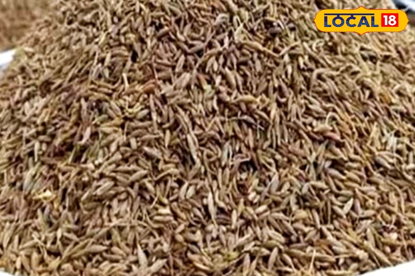 jeera powder