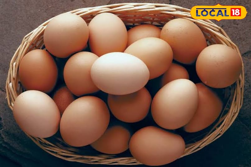 egg egg