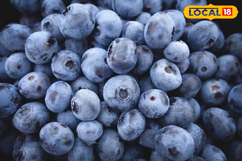 Blue Berry Blue Berry