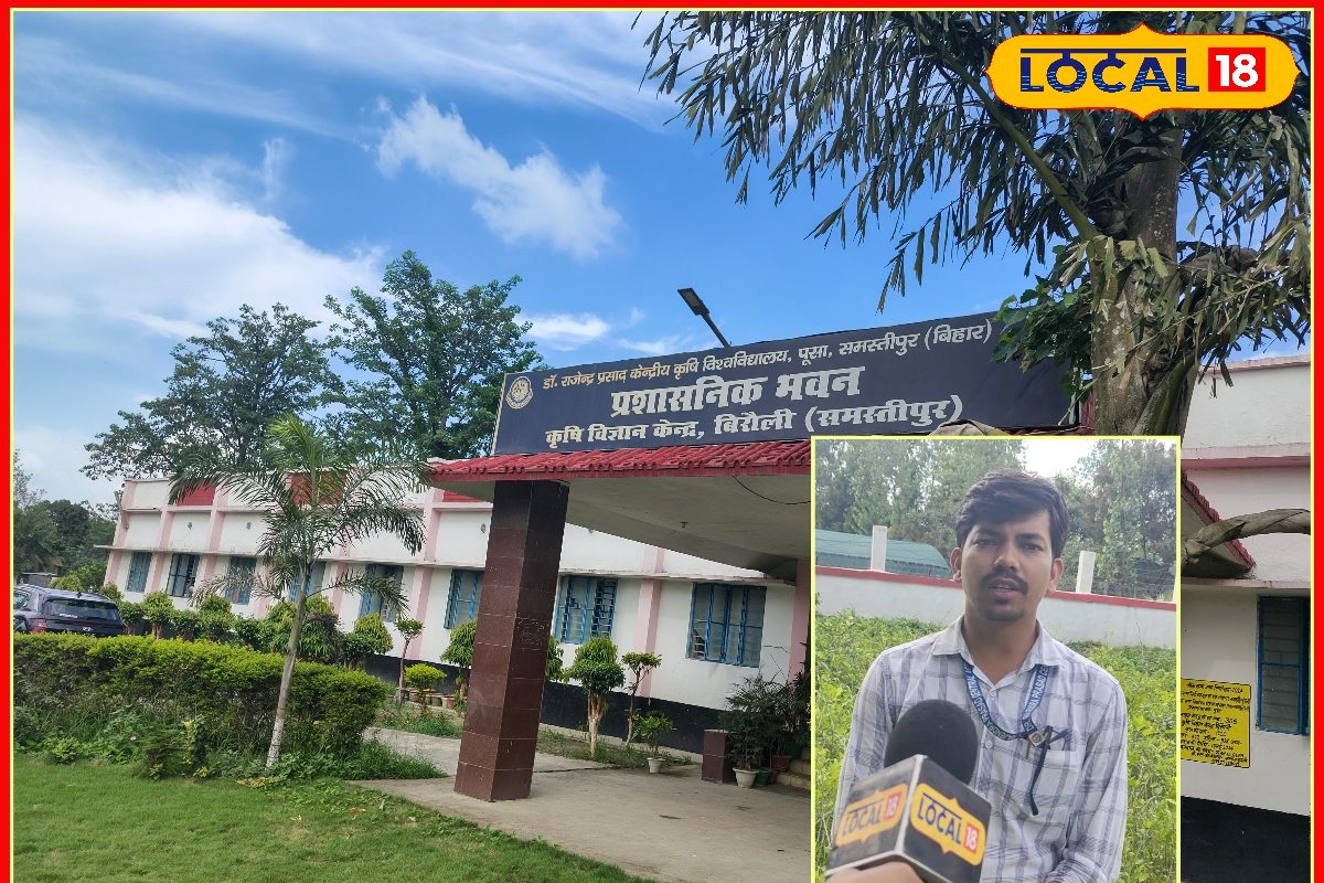 ATM मशीन से कम नहीं है इस फसल की खेती, एक बार लगाएं, साल भर पैसा कमाएं