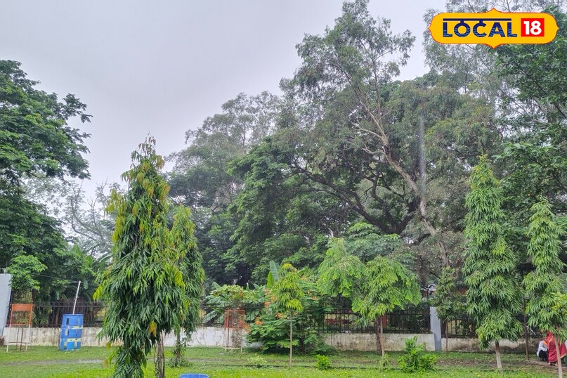 सागर मौसम