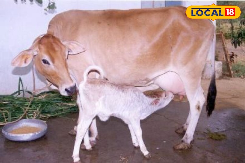 रास्ते में सफर रास्ते में सफर