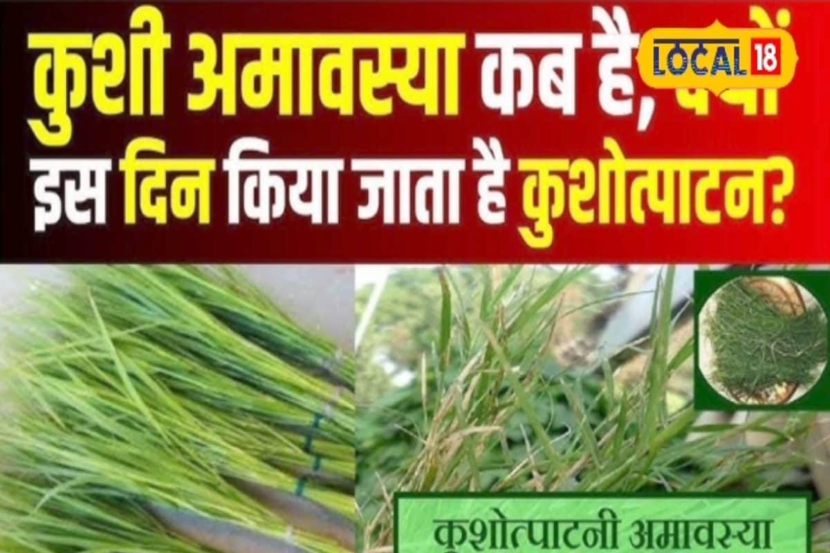 कब है कुशी अमावस्या, इस दिन किया जाता है कुशोत्पाटन, जानें शुभ मुहूर्त