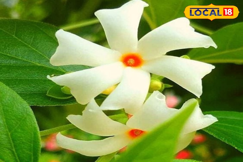 टिप्स एंड ट्रिक्स टिप्स एंड ट्रिक्स