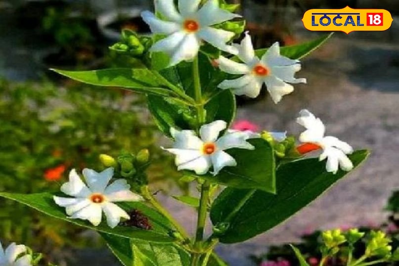टिप्स एंड ट्रिक्स टिप्स एंड ट्रिक्स