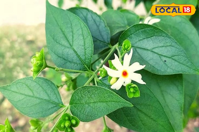 टिप्स एंड ट्रिक्स टिप्स एंड ट्रिक्स