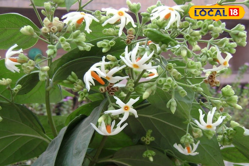 टिप्स एंड ट्रिक्स टिप्स एंड ट्रिक्स
