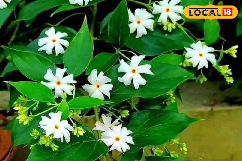टिप्स एंड ट्रिक्स टिप्स एंड ट्रिक्स