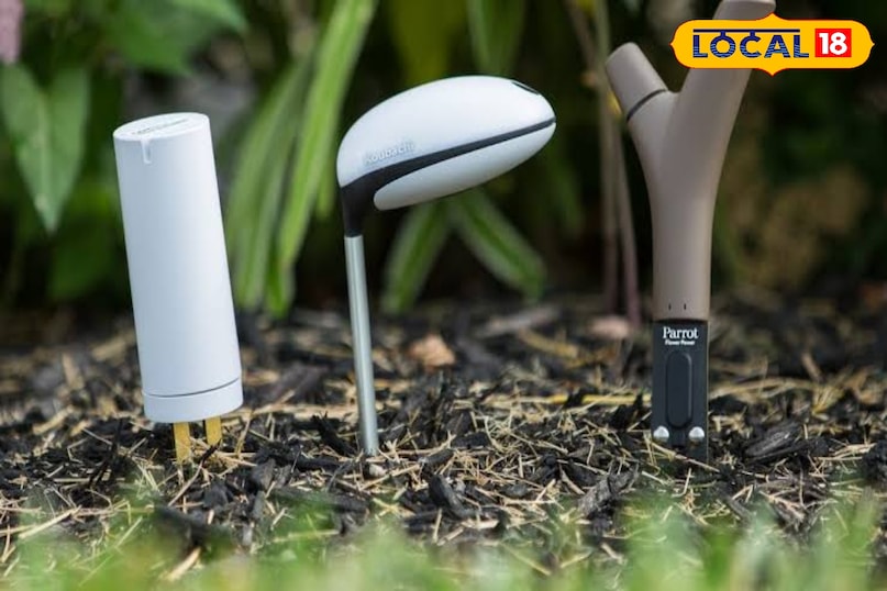 बगीचे की बिजली (Smart Garden Tech) एक छोटा सा मौसम स्टेशन खरीदें जो आपको मोबाइल में बताए कि हवा कितनी तेज और किस दिशा से चल रही है। इस जानकारी से आप समझ जाएंगे कि बगीचे में कुर्सी कहाँ रखनी है या खिड़की का पंखा कब चलाना है ताकि सबसे ज़्यादा ठंडी हवा मिले। बगीचे की बिजली (Smart Garden Tech) एक छोटा सा मौसम स्टेशन खरीदें जो आपको मोबाइल में बताए कि हवा कितनी तेज और किस दिशा से चल रही है। इस जानकारी से आप समझ जाएंगे कि बगीचे में कुर्सी कहाँ रखनी है या खिड़की का पंखा कब चलाना है ताकि सबसे ज़्यादा ठंडी हवा मिले।