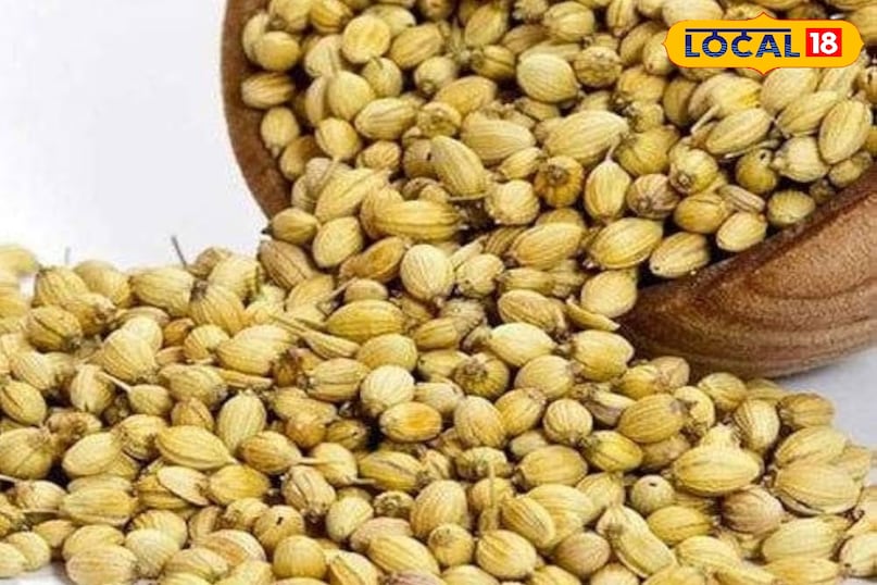 धनिया बीज धनिया बीज