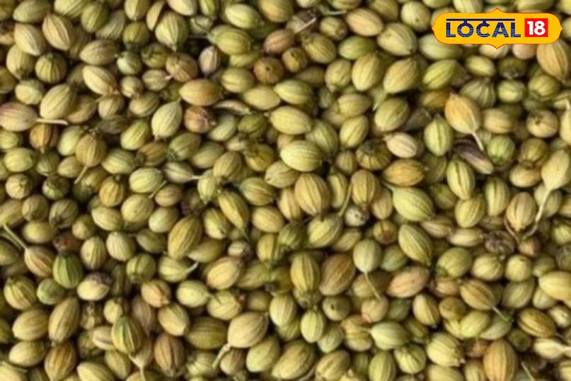 धनिया धनिया