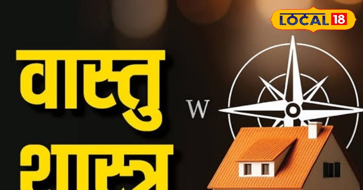 Vastu Tips: नहाने के बाद शीशे के सामने खड़े होते हैं? भूलकर न करें ये 5 काम, शनि, राहु-केतु तबाह कर देंगे!