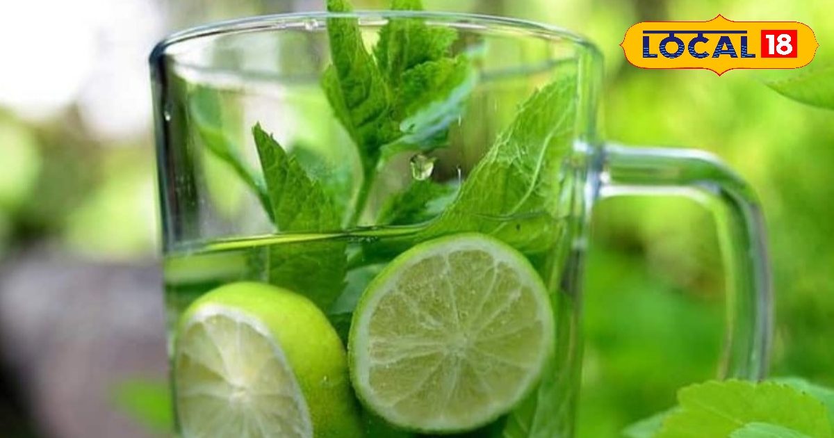 Health Tips: सुबह खाली पेट पी लें ये हरा पानी, गैस-एसिडिटी चुटकियों में होगी गायब, जानें बनाने का तरीका