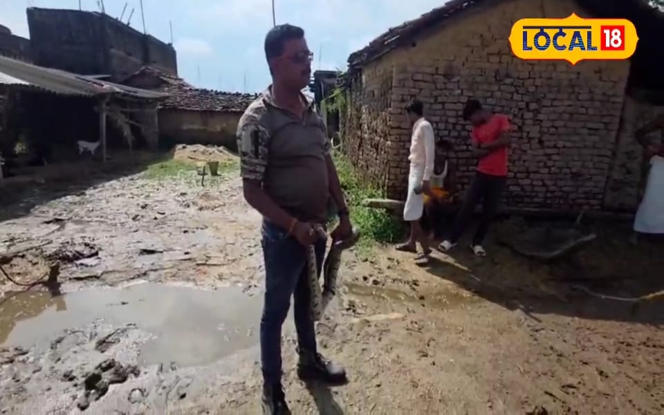 अजगर पर किया वार तो जमुई के बिजली मिस्त्री ने दे दिया गजब का ज्ञान