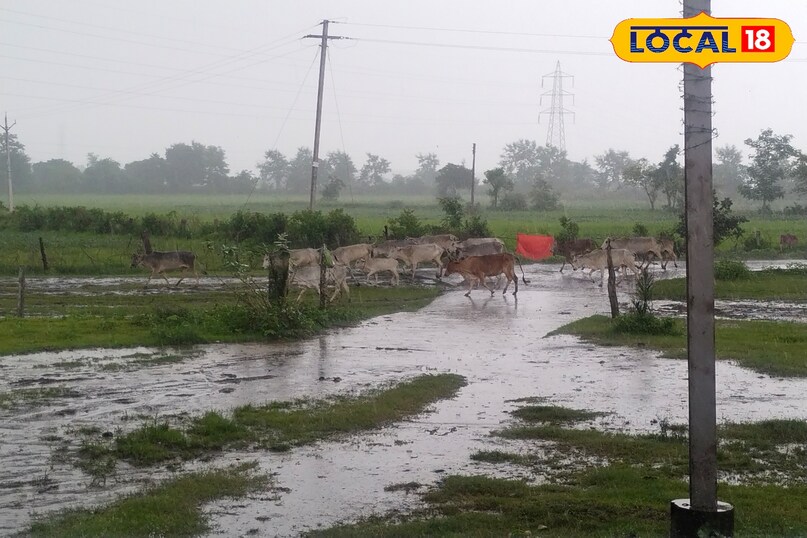 बिजली गिरने की संभावनामौसम विभाग के द्वारा जारी किए