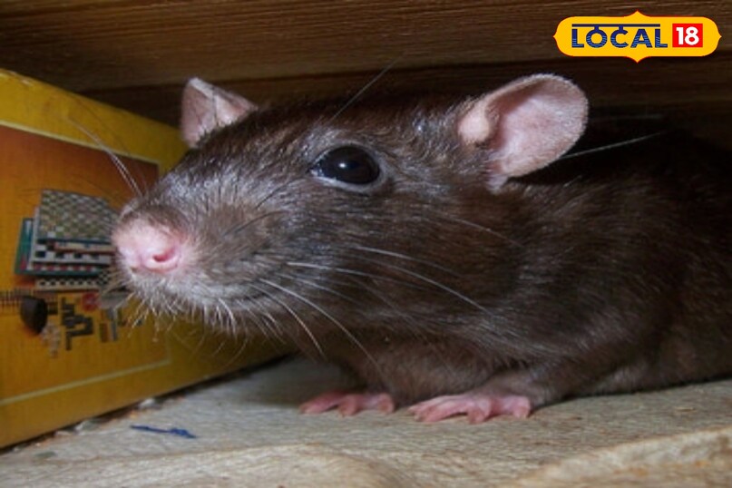 टिप्स एंड ट्रिक्स 