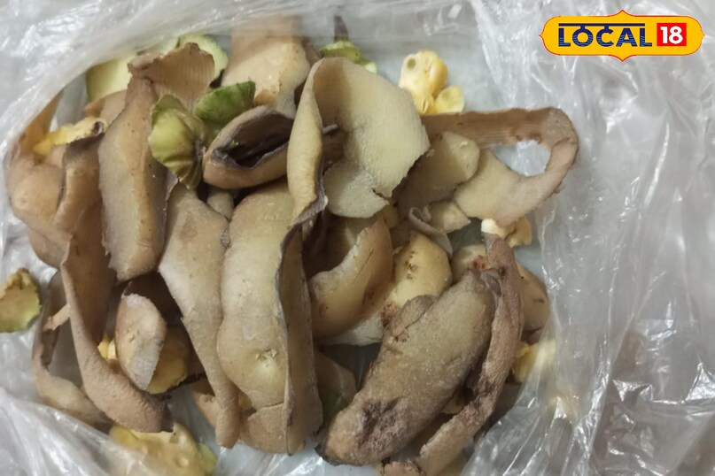 छिलकों के फायदे बेहतर फायदे टिप्स एंड ट्रिक्स छिलके फायदेमंद नहीं समझे बेकार अमेठी उत्तर प्रदेश न्यूज़ 18 हिंदी