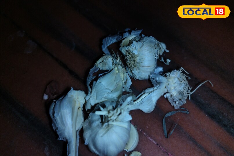 छिलकों के फायदे बेहतर फायदे टिप्स एंड ट्रिक्स छिलके फायदेमंद नहीं समझे बेकार अमेठी उत्तर प्रदेश न्यूज़ 18 हिंदी