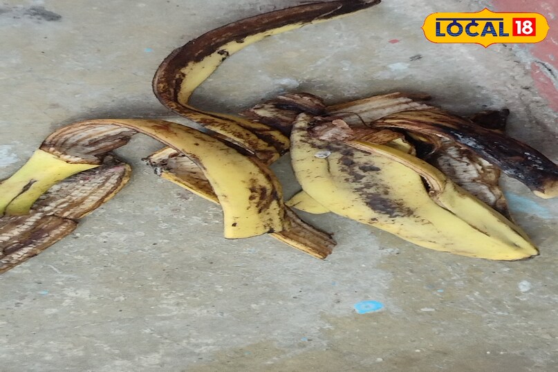 छिलकों के फायदे बेहतर फायदे टिप्स एंड ट्रिक्स छिलके फायदेमंद नहीं समझे बेकार अमेठी उत्तर प्रदेश न्यूज़ 18 हिंदी