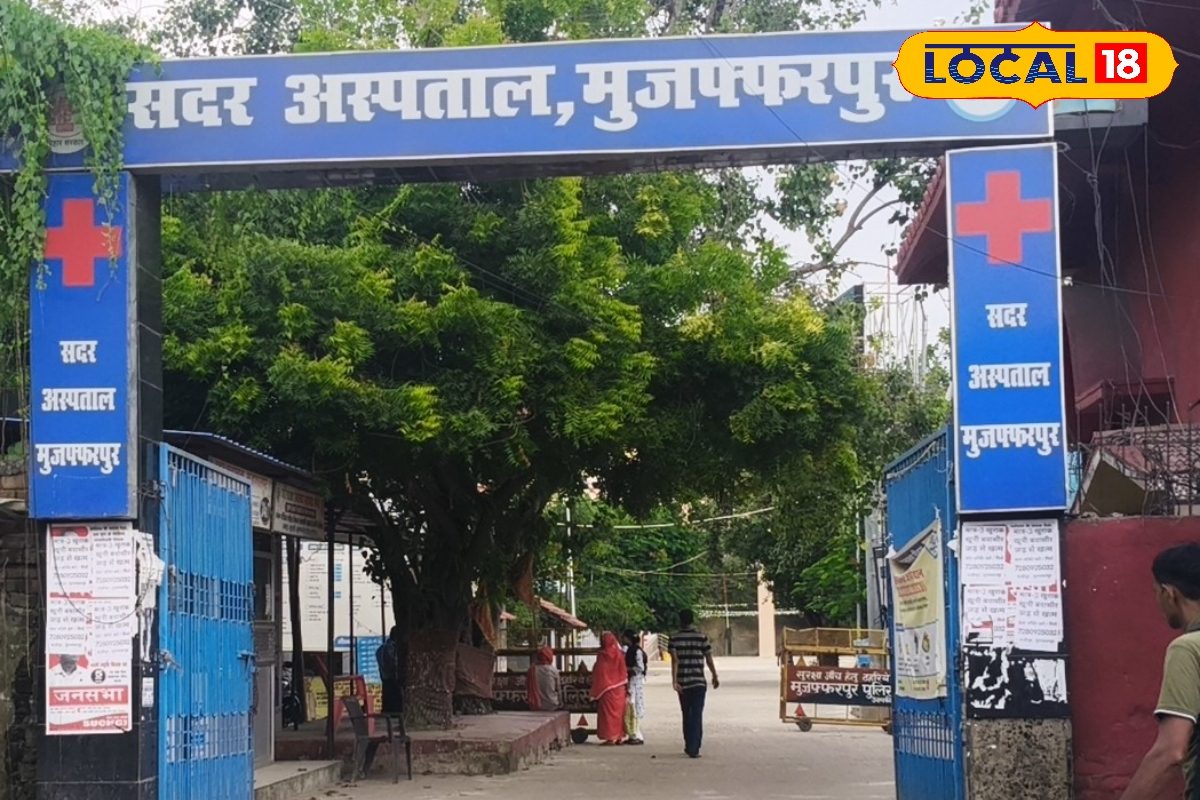 अगर आपके कुत्ता काट ले, तो घबराएं नहीं, यहां लगेगा फ्री एंटी रेबीज का टीका