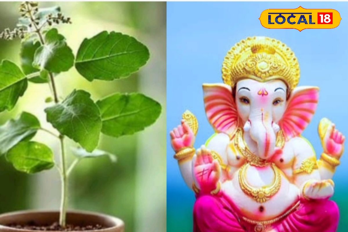 भगवान गणेश को क्यों नहीं चढ़ाई जाती तुलसी? जानें इसके पीछे की दिलचस्प कहानी