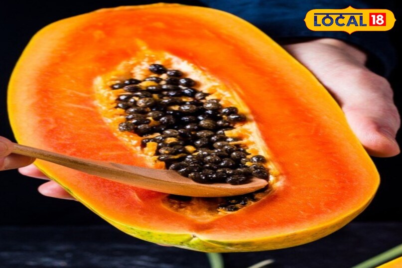 पाचन तंत्र