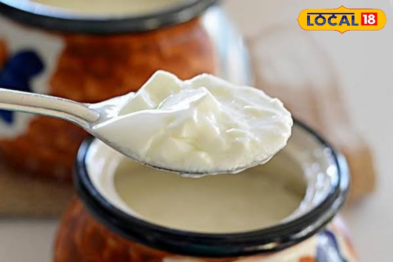 Curd vs buttermilk: Who is the best option for digestion and gut health? Curd vs buttermilk: Who is the best option for digestion and gut health?