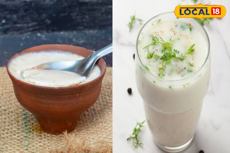 Curd vs buttermilk: Who is the best option for digestion and gut health? 