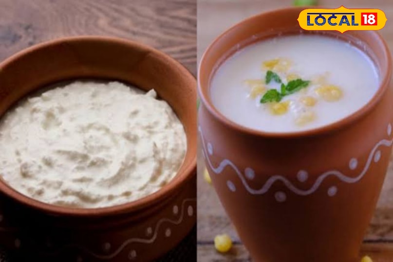 Curd vs buttermilk: Who is the best option for digestion and gut health? 