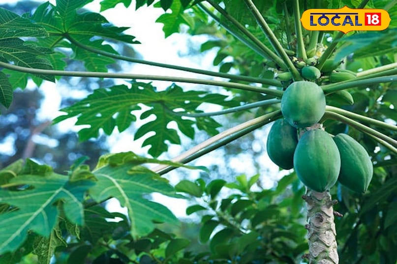 tip and triks tip and triks