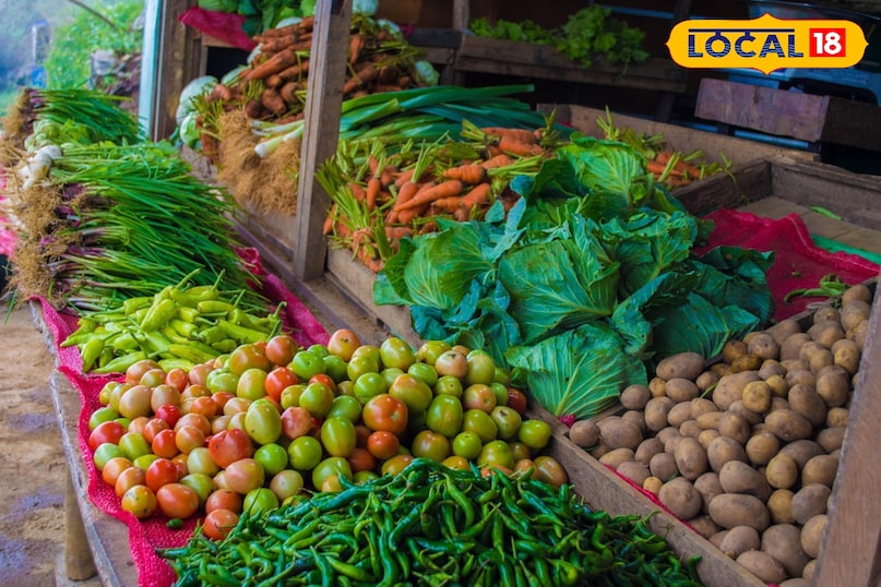 Vegetables are needed everyday, people of such villages can earn money by opening a vegetable shop, after opening the shop, the shopkeeper will have to keep fresh and cheap vegetables in the shop, you will have to buy vegetables directly from the farmers to take vegetables for the benefits, this will also make good profits and increase the trust of the people. Vegetables are needed everyday, people of such villages can earn money by opening a vegetable shop, after opening the shop, the shopkeeper will have to keep fresh and cheap vegetables in the shop, you will have to buy vegetables directly from the farmers to take vegetables for the benefits, this will also make good profits and increase the trust of the people.